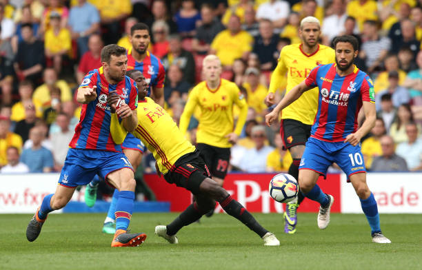 O展示了对 O展示了对